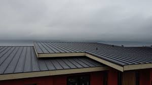 Best Metal Roofing Installation  in Mcalmont, AR